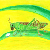 Рисунок "Кузнечик" на конкурс "Конкурс детского рисунка “Как я провел лето - 2020”"