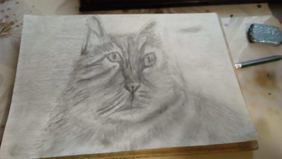 Детский рисунок - Кот