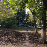 Рисунок "Осень в городе" на конкурс "Фотоконкурс “Краски Осени - 2019”"