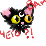 Рисунок "котик с безумным вопросом"