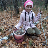 Рисунок "Щедрая осень" на конкурс "Фотоконкурс “Краски Осени - 2019”"