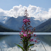 Рисунок "осень" на конкурс "Фотоконкурс “Краски Осени - 2019”"