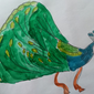 Павлин, Анастасия Тельнова, 5 лет