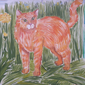 Кошка Масси, Елизавета Никулина, 11 лет