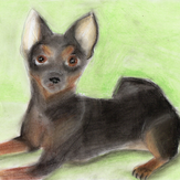 Рисунок "Мой друг Федюнька" на конкурс "Конкурс детского рисунка "Любимое животное - 2018""