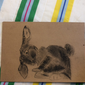 Мой кролик, Даша Панасюк, 7 лет