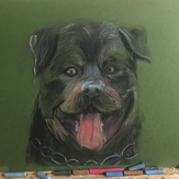 Рисунок "Собака Буля" на конкурс "Конкурс детского рисунка "Любимое животное - 2018""