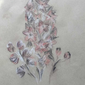 цветок дельфиниум, Лиза Астахова, 10 лет
