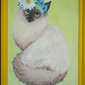 Сиамская кошечка, / /, 16 лет