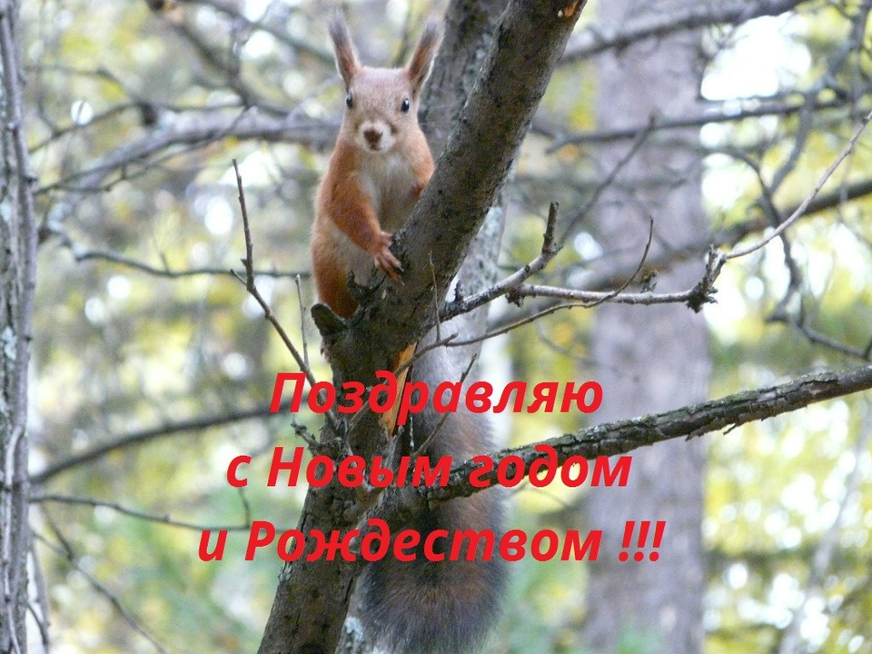 Рисунок - Поздравление