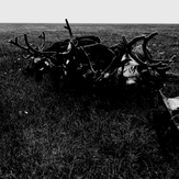 Рисунок "Ямал" на конкурс "Конкурс творческого рисунка “Свободная тема-2021”"
