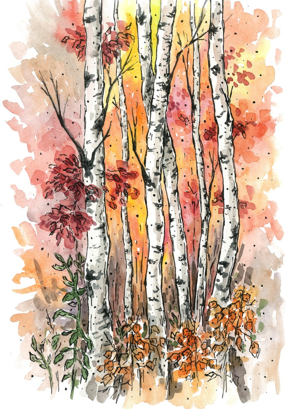 Рисунок - Березы осенью