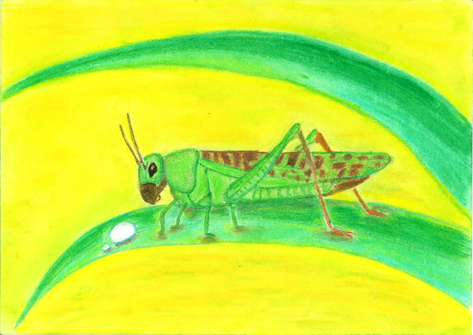 Детский рисунок - Кузнечик