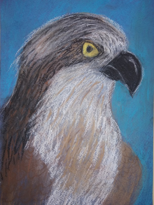 Детский рисунок - Скопа
