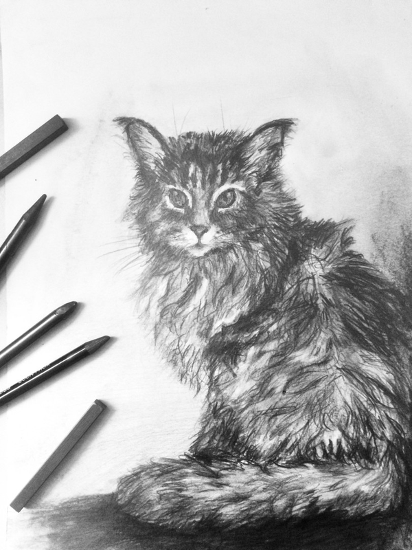 Детский рисунок - Котейка