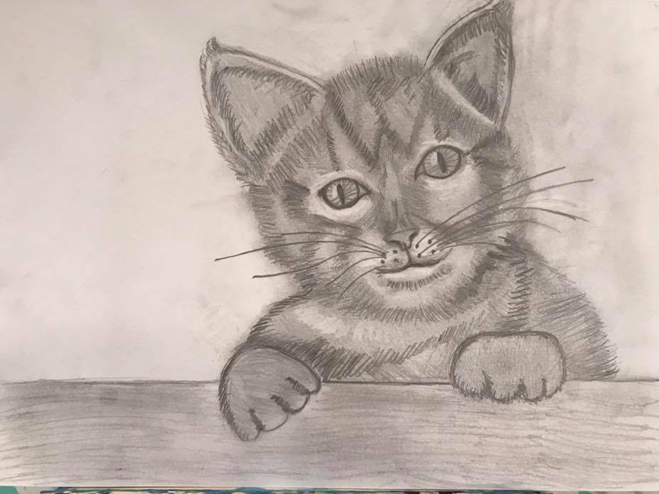 Детский рисунок - Любимая кошечка