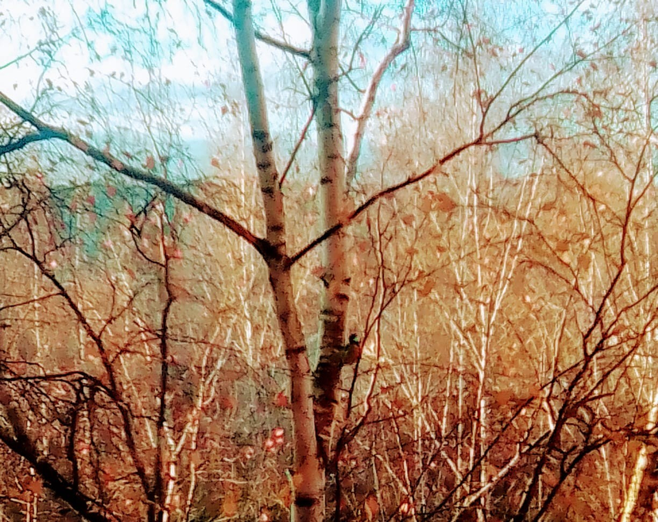 Детский рисунок - синичка