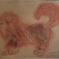 Соседский шпиц, Даша Панасюк, 7 лет