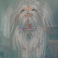 моя витаминка, Варвара Леонова, 10 лет