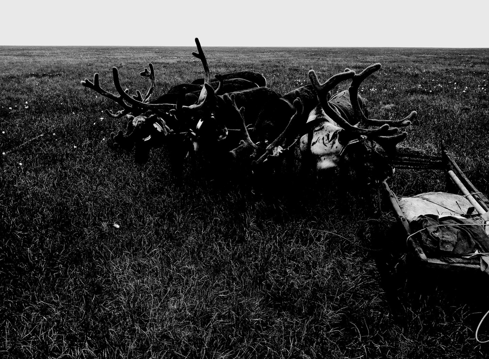 Детский рисунок - Ямал