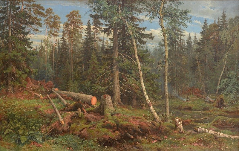 Рубка леса