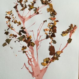 Екатерина Гулькова